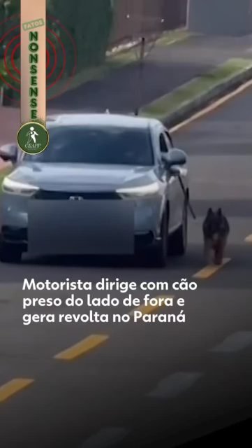 💔 O QUE ESTÁ ACONTECENDO COM O SER HUMANO? CADÊ A NOSSA HUMANIDADE?ATÉ ONDE VAI A CRUELDADE? 🚗🐕
Imagens revoltantes vindas de Ponta Grossa, nos Campos Gerais do Paraná, estão chocando o Brasil. Um motorista foi flagrado cometendo um ato de extrema covardia: arrastando um cachorro pelo lado de fora do carro em movimento.
Nas imagens, é possível ver o desespero do animal, se esforçando ao máximo para conseguir acompanhar a velocidade do veículo e não ser esmagado ou morto. Uma cena de puro terror para um ser que só sabe oferecer amor.
⚖️ JUSTIÇA PRECISA SER FEITA!A Polícia Civil já identificou o motorista e um inquérito foi aberto. Não podemos fechar os olhos! Maus-tratos a animais É CRIME no Brasil, amparado pela Lei Federal nº 9.605/98.
Você sabia? Com a recente alteração na lei (Lei Sansão), a pena para quem maltrata cães e gatos aumentou para 2 a 5 anos de reclusão, além de multa e proibição da guarda.
NÃO SE CALE! ✋
Os animais não têm voz, por isso nós precisamos ser a voz deles. Casos como esse em Ponta Grossa não podem passar impunemente. Precisamos de leis severas e de uma sociedade que proteja seus animais.
📢 O QUE VOCÊ PODE FAZER?COMPARTILHE este post para que mais pessoas saibam que maus-tratos geram punição!DENUNCIE se presenciar qualquer ato de abuso. Disque 181 ou procure a delegacia mais próxima.COMENTE abaixo: Você acha que a lei atual é suficiente para punir esses atos?#JustiçaPelosAnimais #MausTratosÉCrime #PontaGrossa #Paraná #ProteçãoAnimal LeiSansão CausaAnimal Humanidade RespeitoAosAnimais